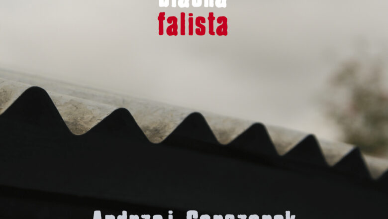 Andrzej Garczarek – „Blacha falista” – piąty album autorski